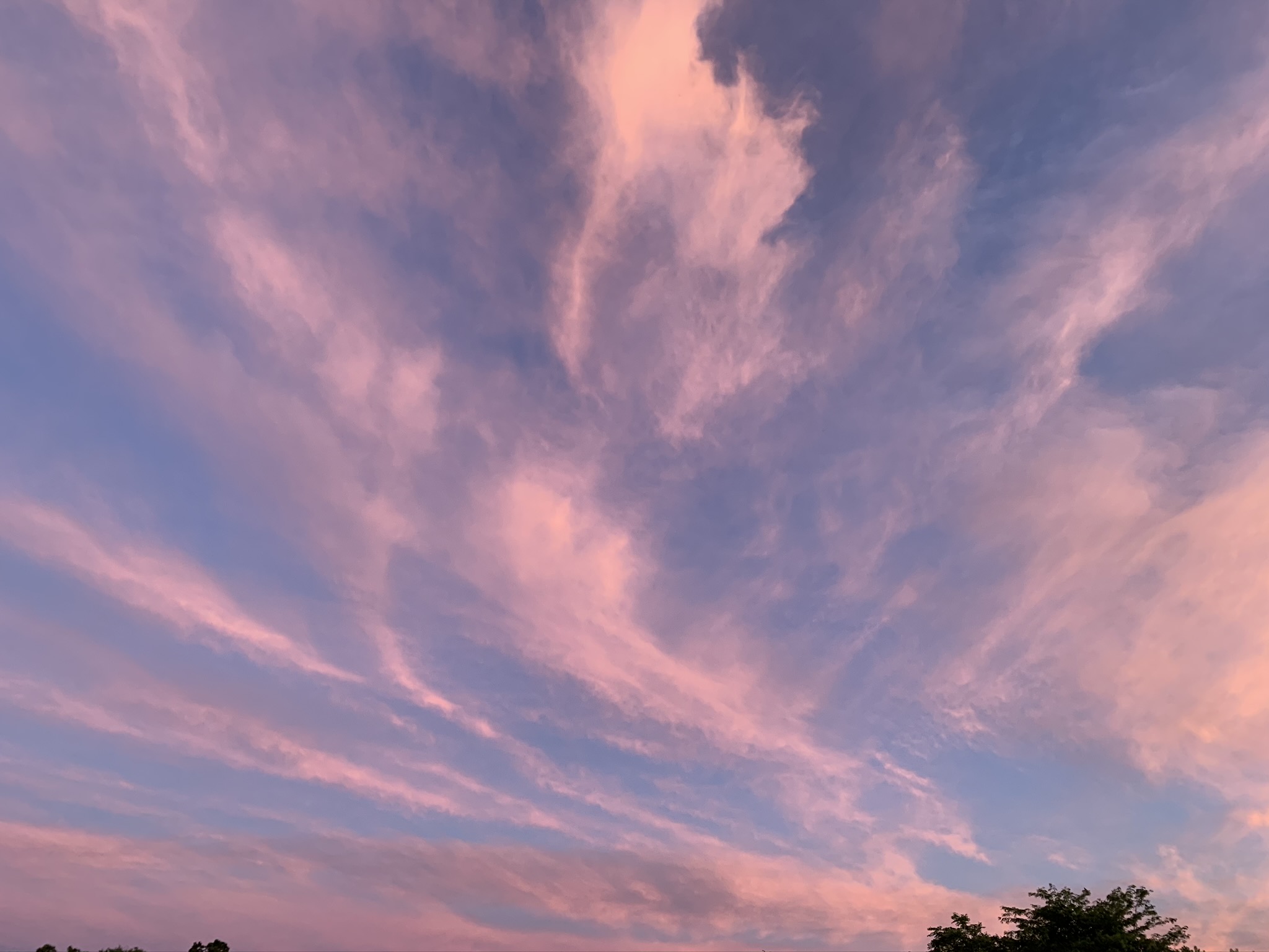 Photo of the sky at dusk with streaks of purple and pink clouds