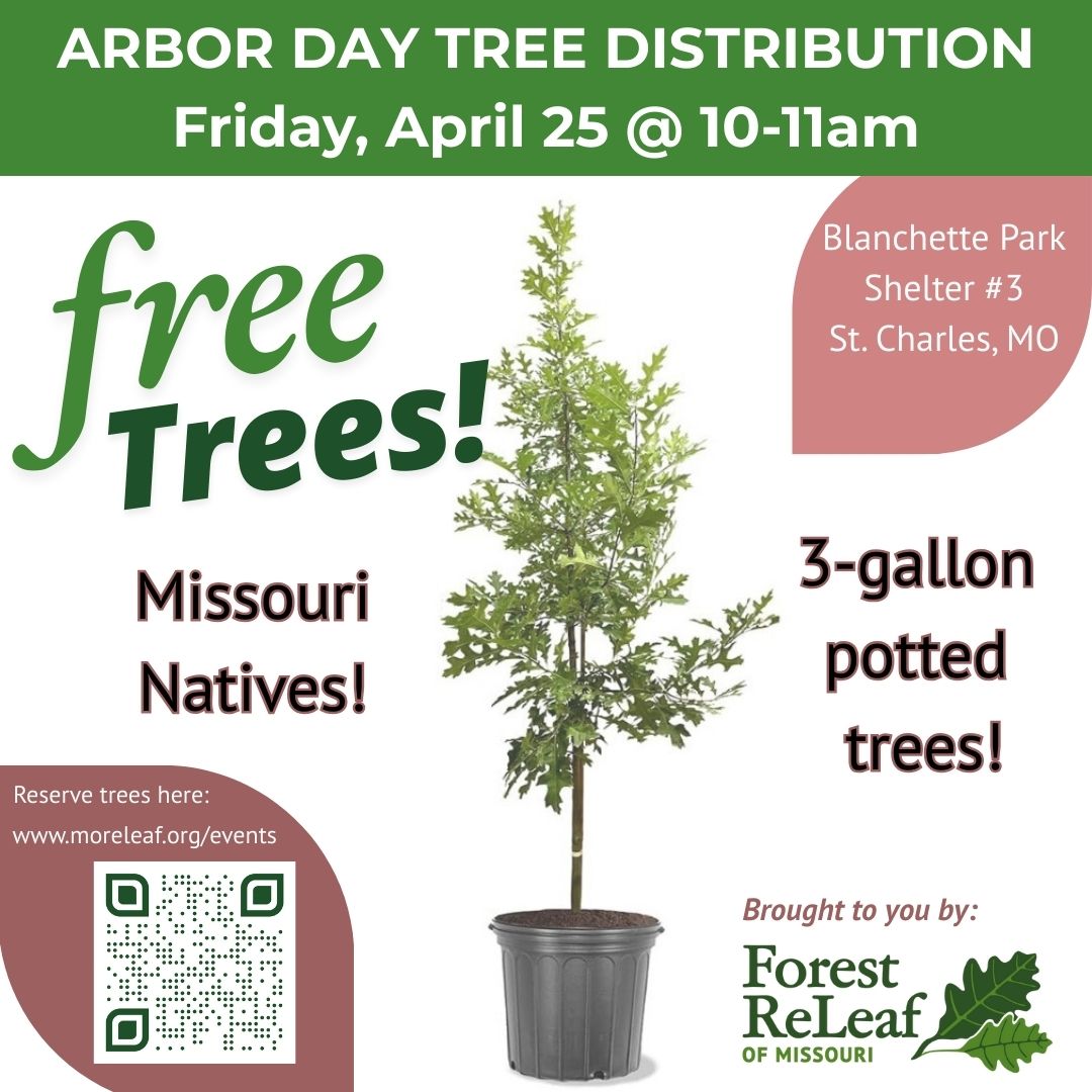 Reserve a tree to be planted for Arbor Day at Blanchette Park in St. Charles on April 25