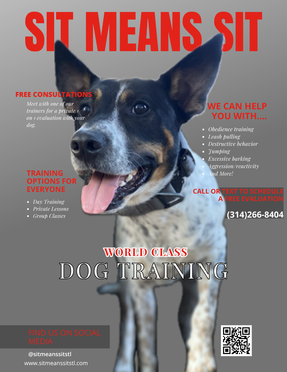 Sit Means Sit is a dog obedience training group
