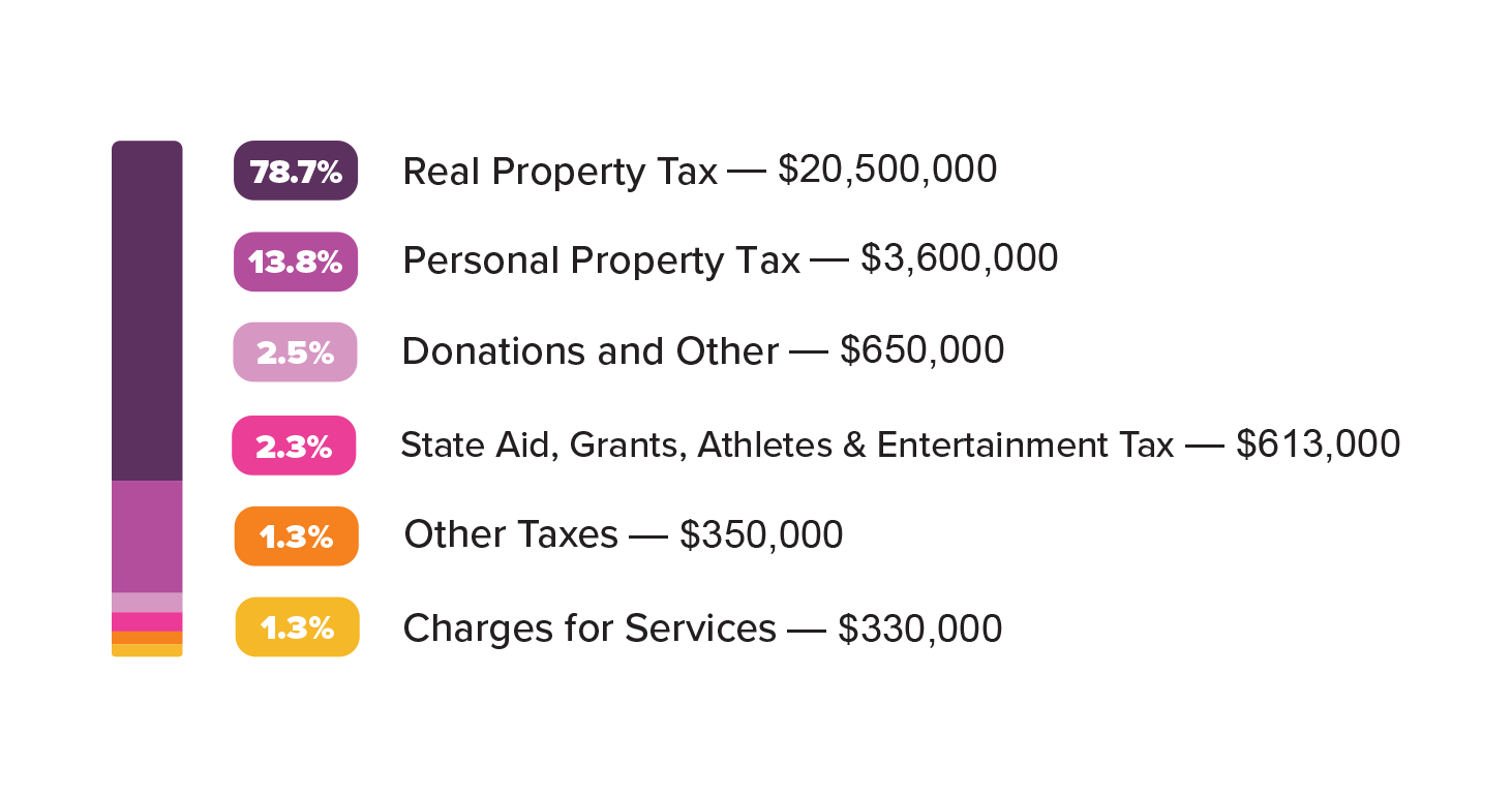 Bar graph break down of revenue the library receives from taxes. Starting with 78.7% Real Property Tax ($20,500,00), 13.8% Personal Property Tax (3,600,000), 2.5% Donations and Other ($650,000), 2.3% State Aid, Grants, Athletes and Entertainment Tax ($613,000), 1.3% Other taxes ($350,000), 1.3% Charges for Services ($330,000) 