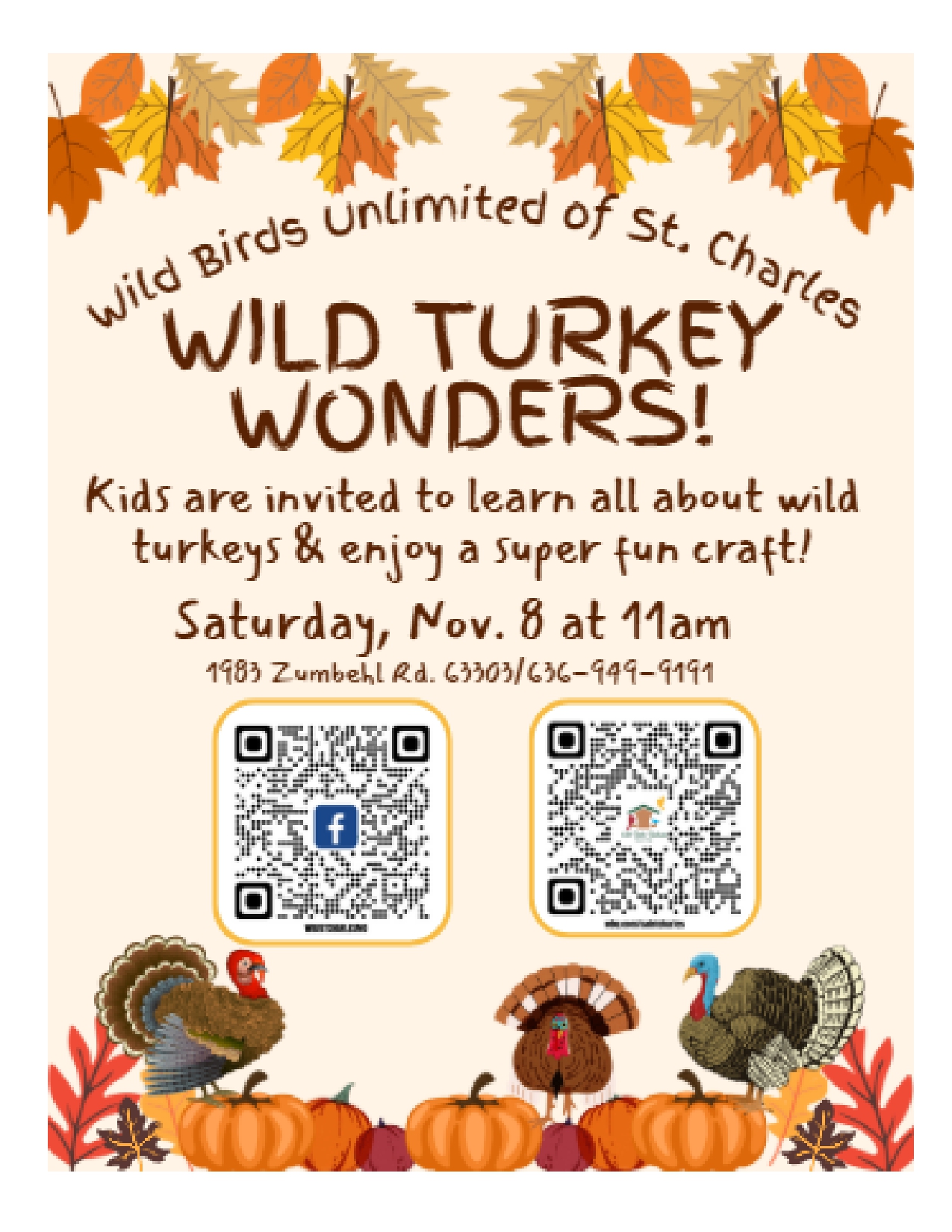 Wild Birds Unlimited of St. Charles Wild Turkey Wonders