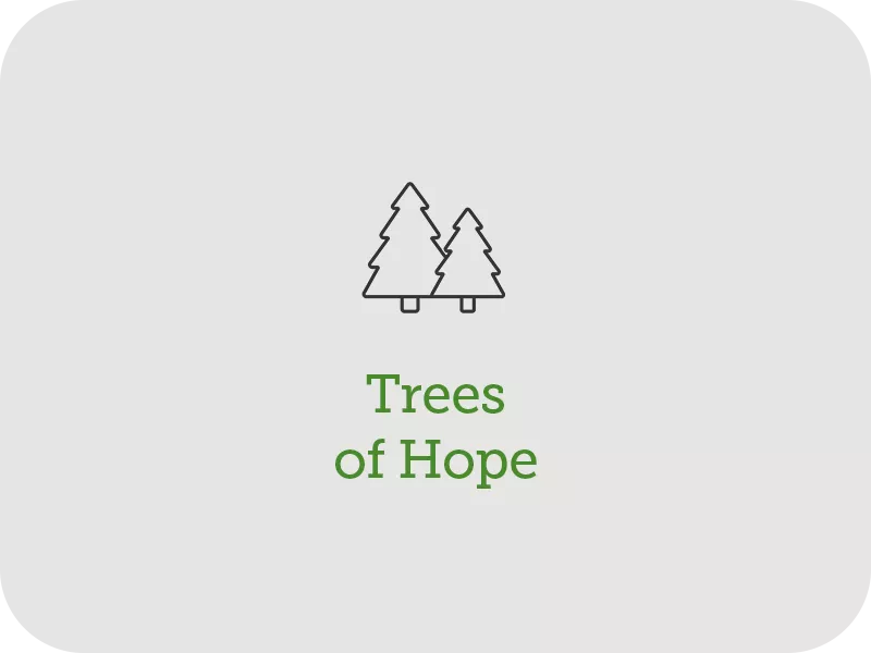 Trees of Hope for the Foundation