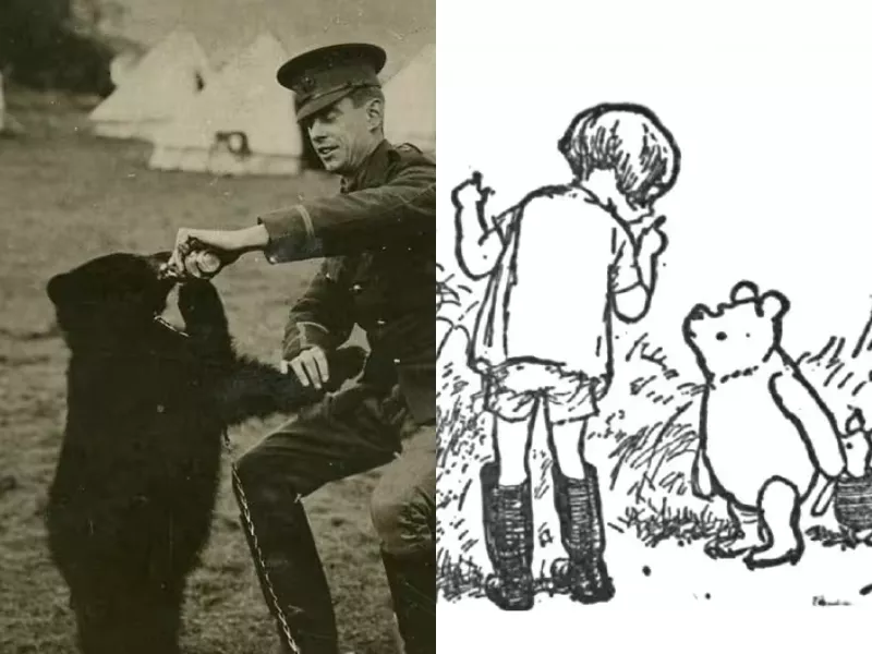 an image of the bear that influenced Winnie Pooh