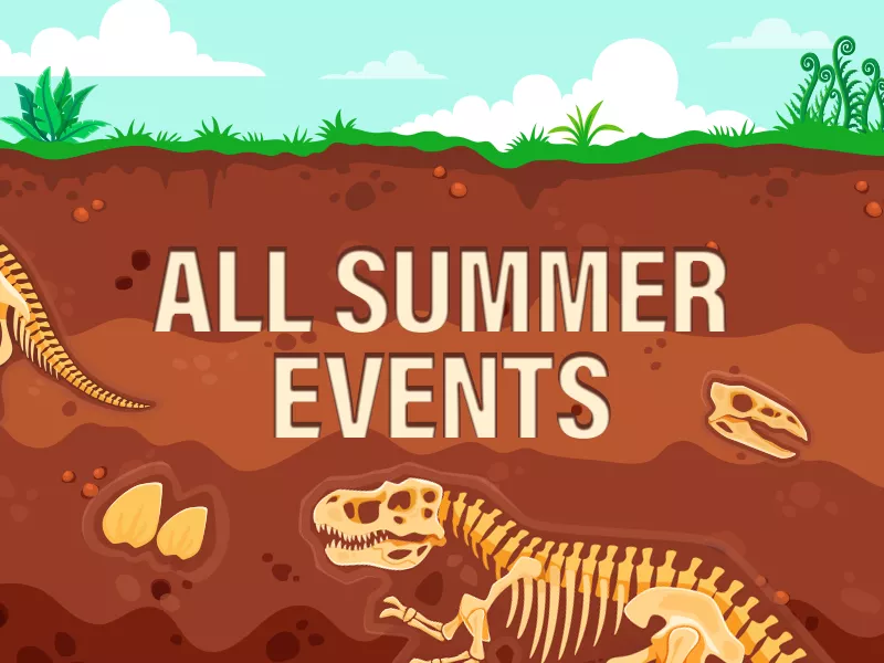 archeological scene with dinosaur bones with words reading All Summer Events