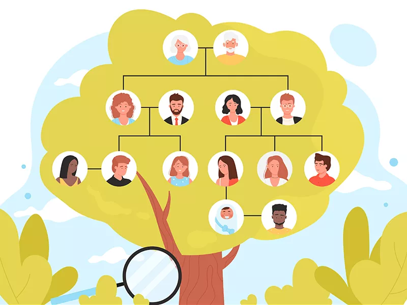 illustration of family tree over 4 generations